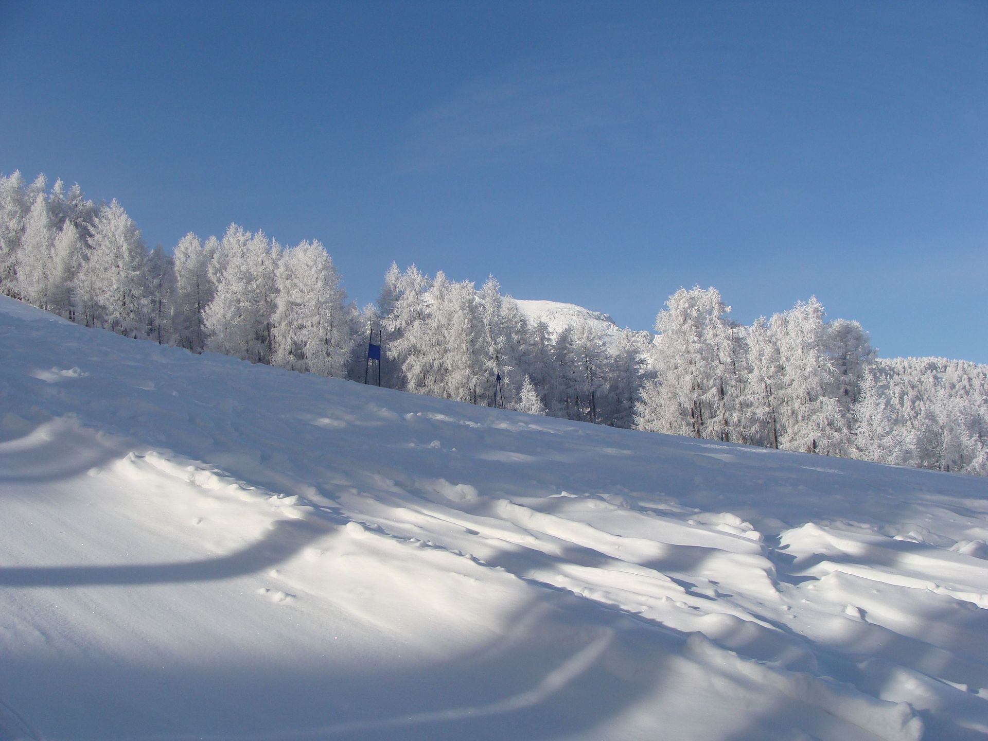 Koroška pokal